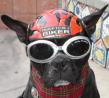 GarrickBailley's Avatar