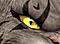 Sahaqiel's Avatar