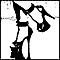 shadow_kitty's Avatar