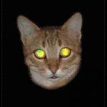 HughJorgan's Avatar