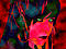 elliemay's Avatar