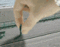Ocean_Soul's Avatar