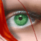 aredhairedpet's Avatar