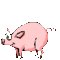 piggy's Avatar