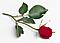 SubK's Avatar