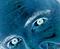 Gravityjunkie (mp)