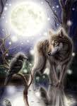 MstrWolf_ncs_lilbrat's Avatar