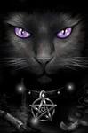 Midnight Kitten's Avatar